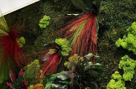 Zelený mach a farebný akcent - mení atmosféru. 