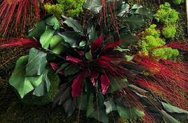 Zelený mach a farebný akcent - mení atmosféru. 