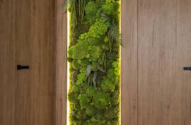 Starosť o machovú stenu