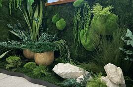 Jedna z načastejších otázok: vydrží machová stena?