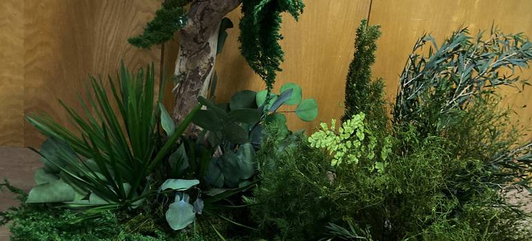 Biophilic stabilizované bonsaje