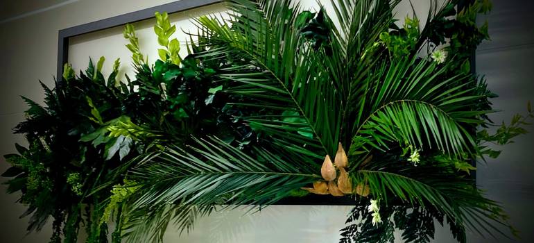 Machové dekorácie - okná plné rastlin