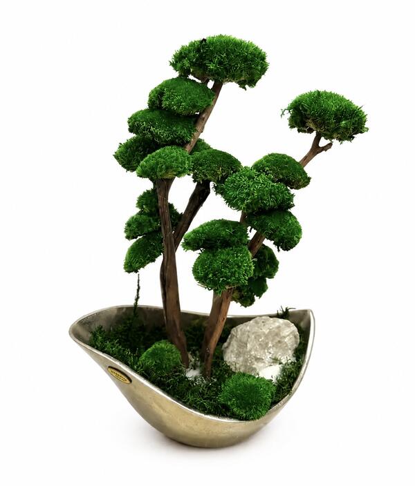 Bonsaj Biophilic striebornej atipickej miske V43X33