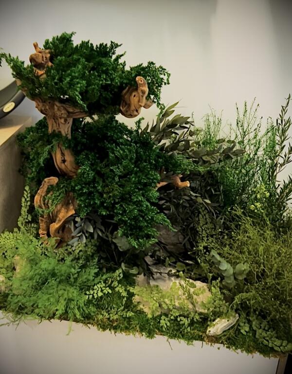 Zelený ostrov - plató - stabilizované Biophilic