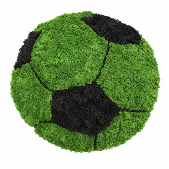 Perida 3D Machová futbalová lopta zelená  P60