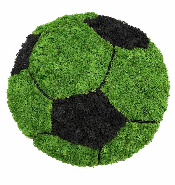 3D Machová futbalová lopta zelená  P60