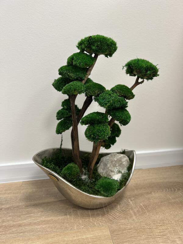 Bonsaj Biophilic striebornej atipickej miske V43X33