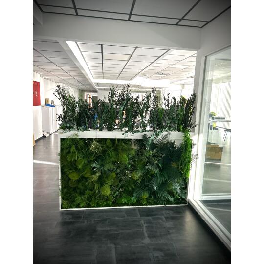 Perida Machovo-rastlinná obojstranná stena do Office