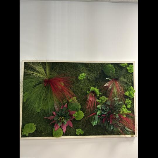 Perida Machovo-rastlinný obraz zo série CYKLAMEN M120x80