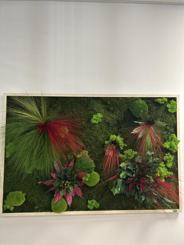 Machovo-rastlinný obraz zo série CYKLAMEN M120x80