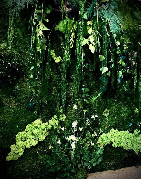 Machová stena súkromný interier