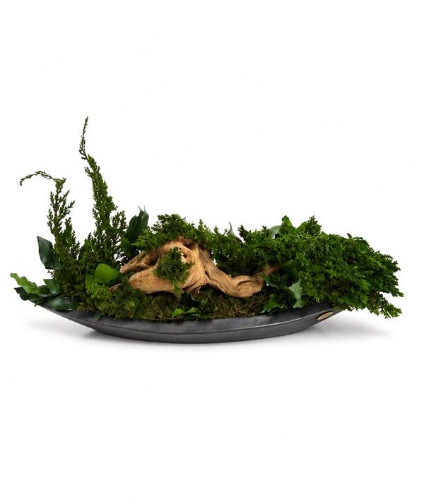 Dekorácia v čiernej ebenovej lodičke Juniperus E60