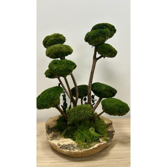 Perida Machová dekorácia STROMY v teakovej mise L3