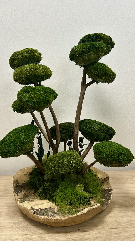 Machová dekorácia STROMY v teakovej mise L3