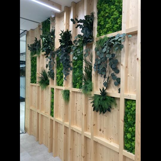 Machová stena s rastlinami do kaviarne