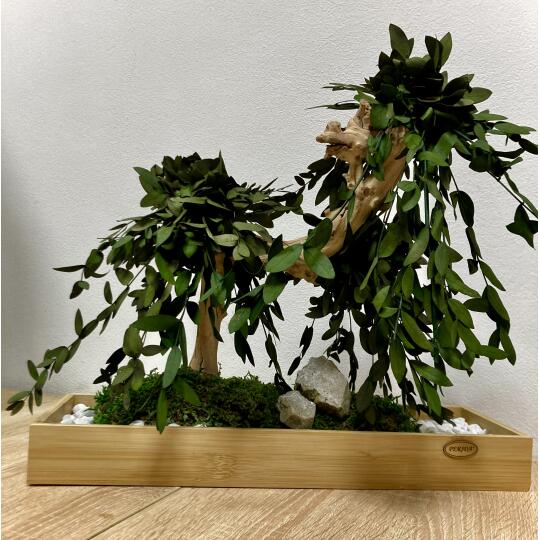 Perida Zelený ostrovček s bonsajom