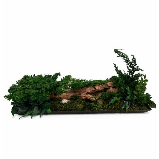 Perida Machová dekorácia s bonsajom Juniperus R60,21,30